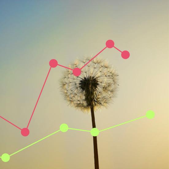 Grafik