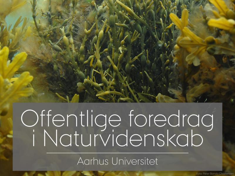 Offentlige foredrag i Naturvidenskab: Tang