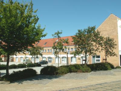 Foto af biblioteket i Broager i baggrunden. I forgrunden er der en række træer.