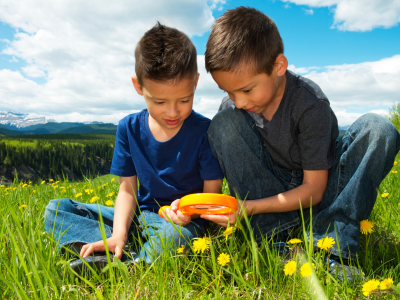 To drenge sidder på en græsmark og studerer blomster under en lup.