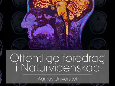 Offentlige foredrag i Naturvidenskab: Den meningsfulde hjerne