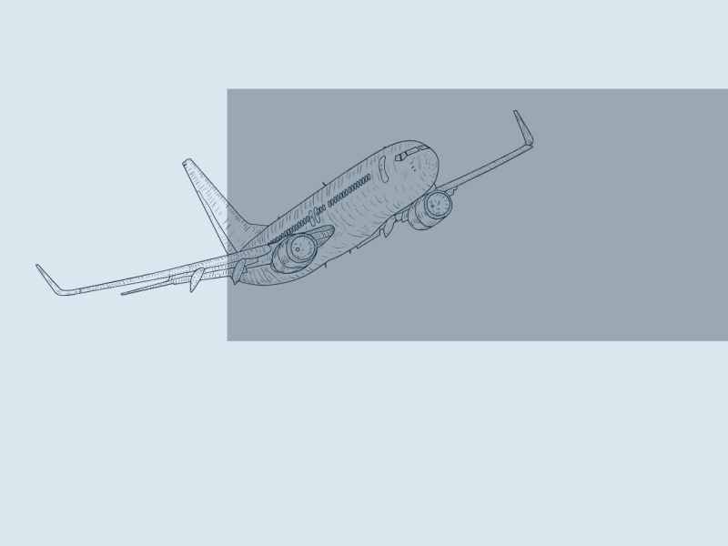 Grafisk illustration af fly