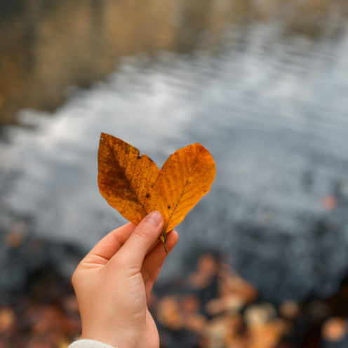 Hånd med efterårsblad.