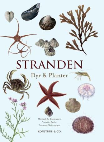 Michael Bo Rasmussen (f. 1952), Annette Bruhn: Stranden : dyr & planter